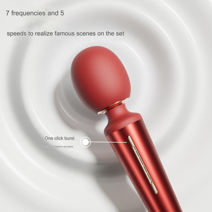 VIOTEC Violet Roche Female Massager V213