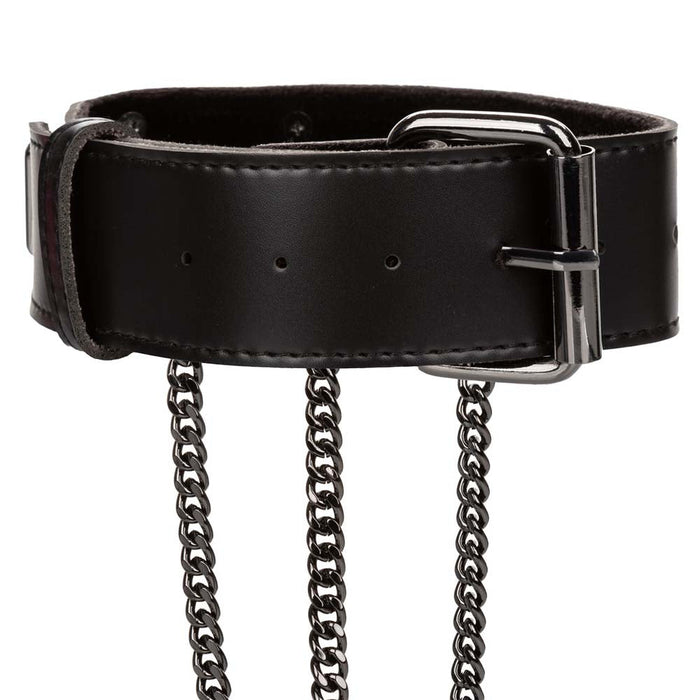 Euphoria Multi Chain Collar Harness XL