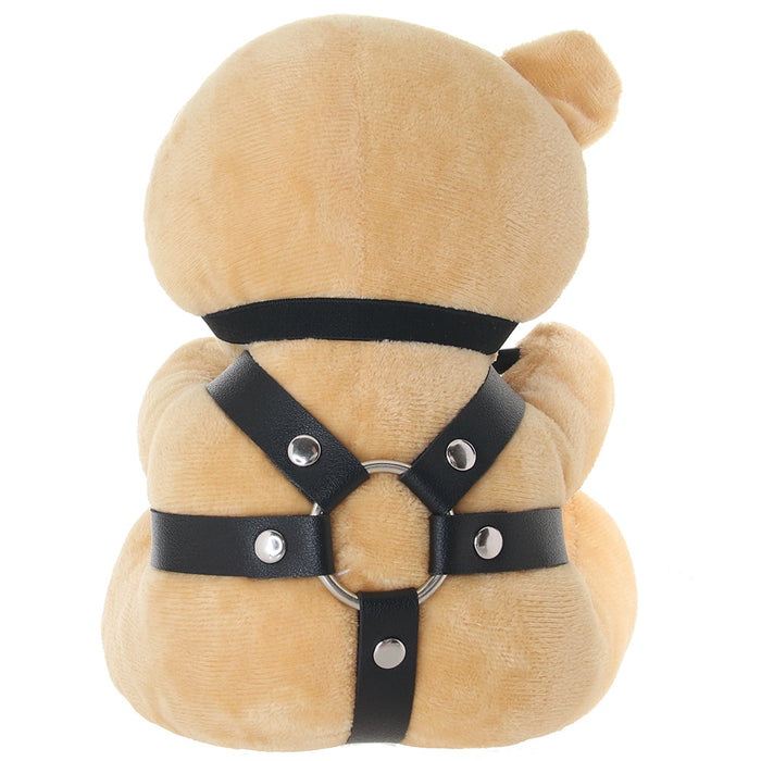 Master Series BDSM Teddy Bear