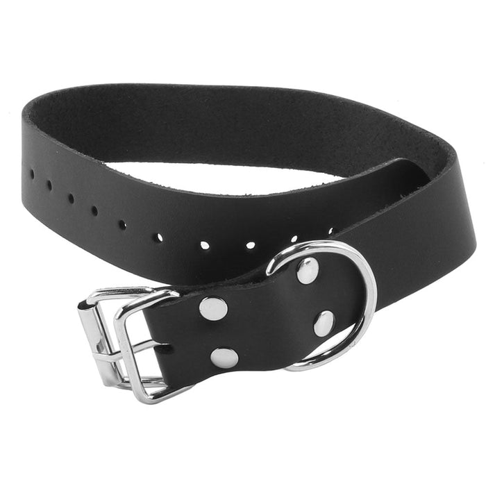 Comfort Fit 1 Inch Leather Collar