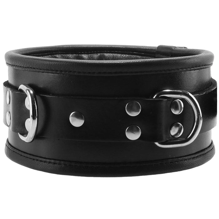 Padded Leather Collar in Black