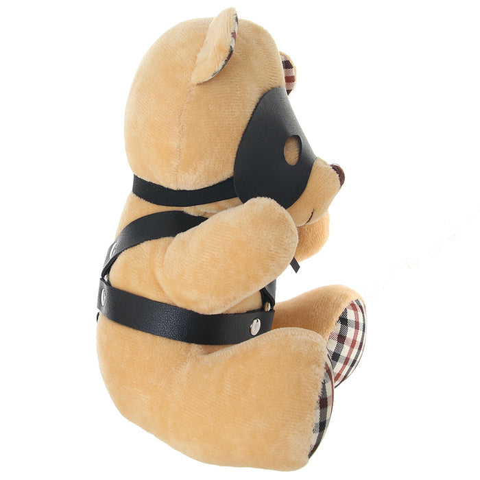 Master Series BDSM Teddy Bear