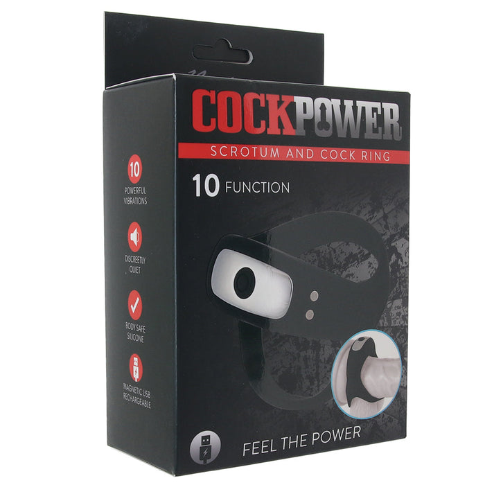 Cockpower Scrotum And Cock Ring