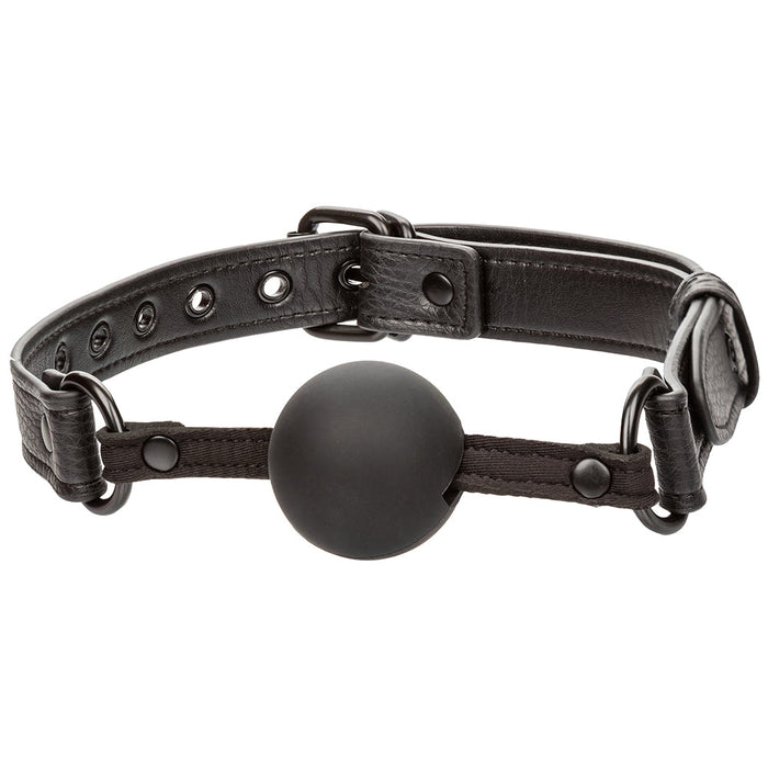 Nocturnal Collection Ball Gag