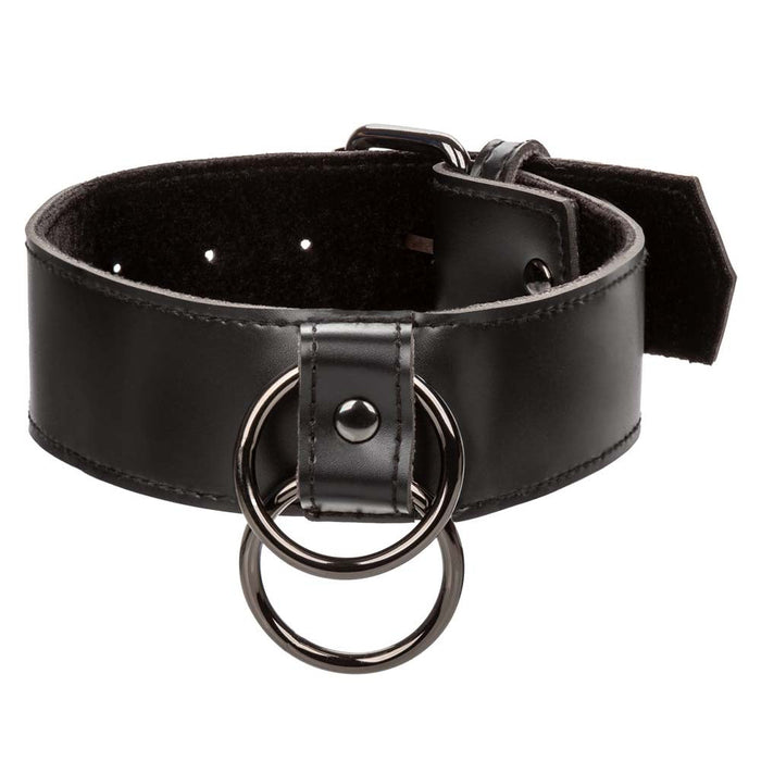 Euphoria Collar With Chain Leash