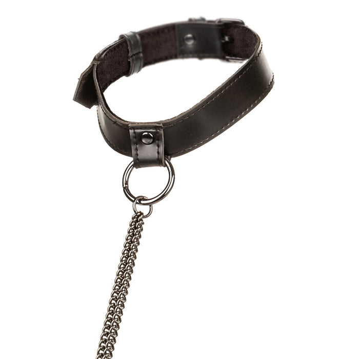 Euphoria Chain Collar & Leash