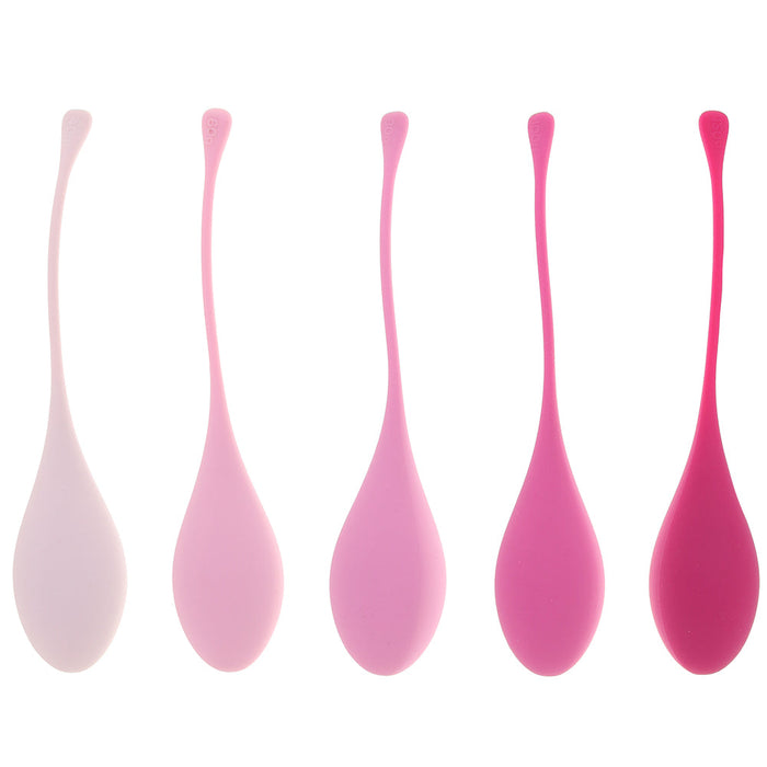 FantasyCherry Kegel Training System