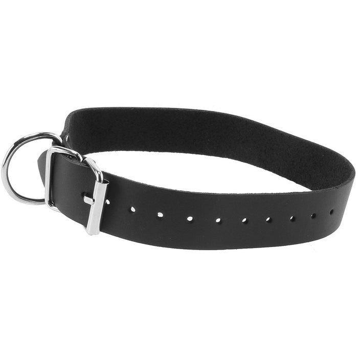 Comfort Fit 1 Inch Leather Collar