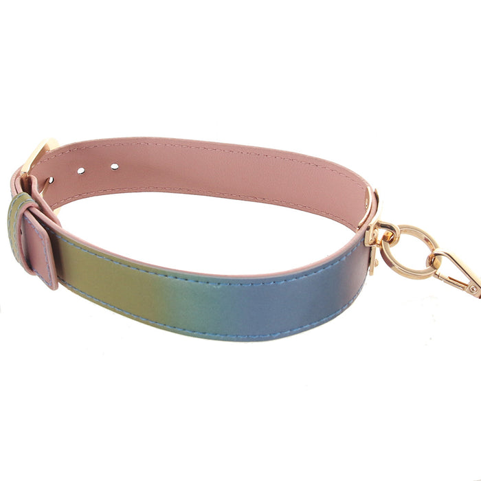 Spectra Bondage Collar & Leash in Rainbow