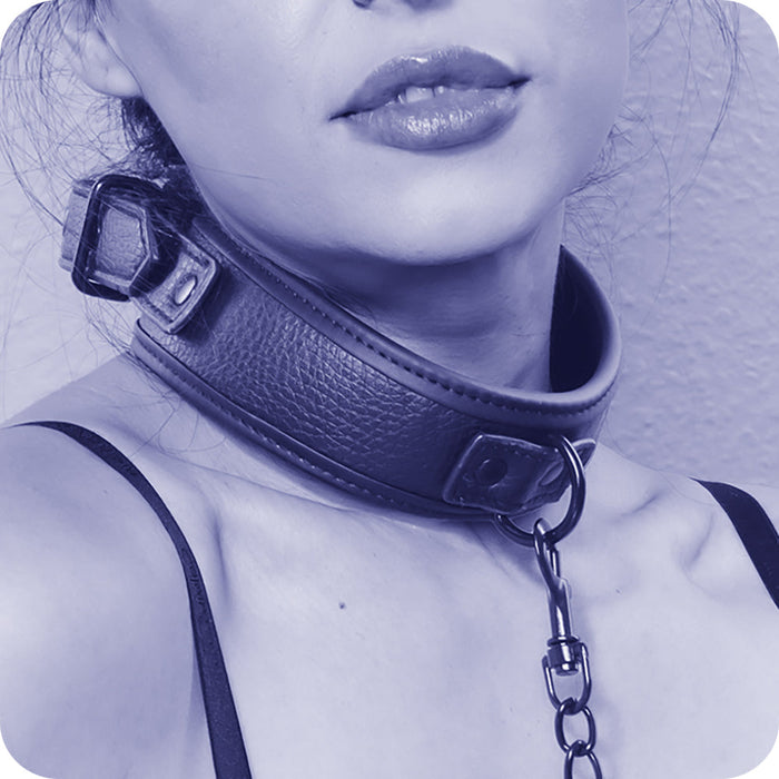 Nocturnal Collection Collar & Leash