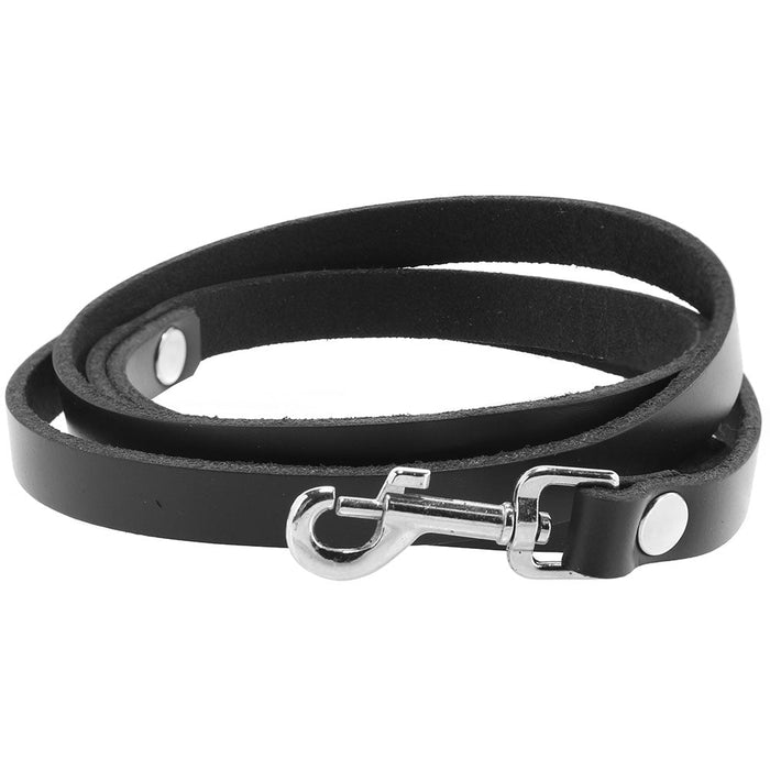 4' Leather Leash