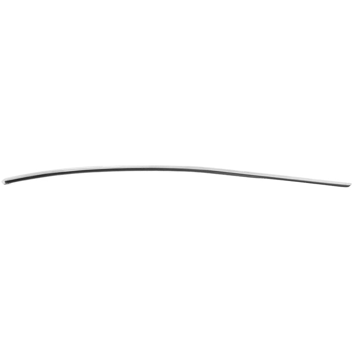 Stainless Steel 4mm Urethral Dilator