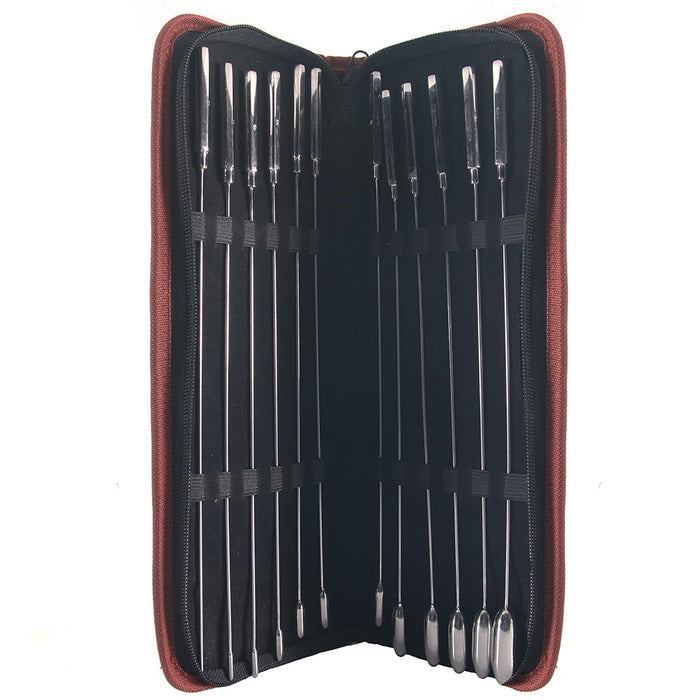 Stainless Steel 12 Pc. Rose Bud Sounding Set