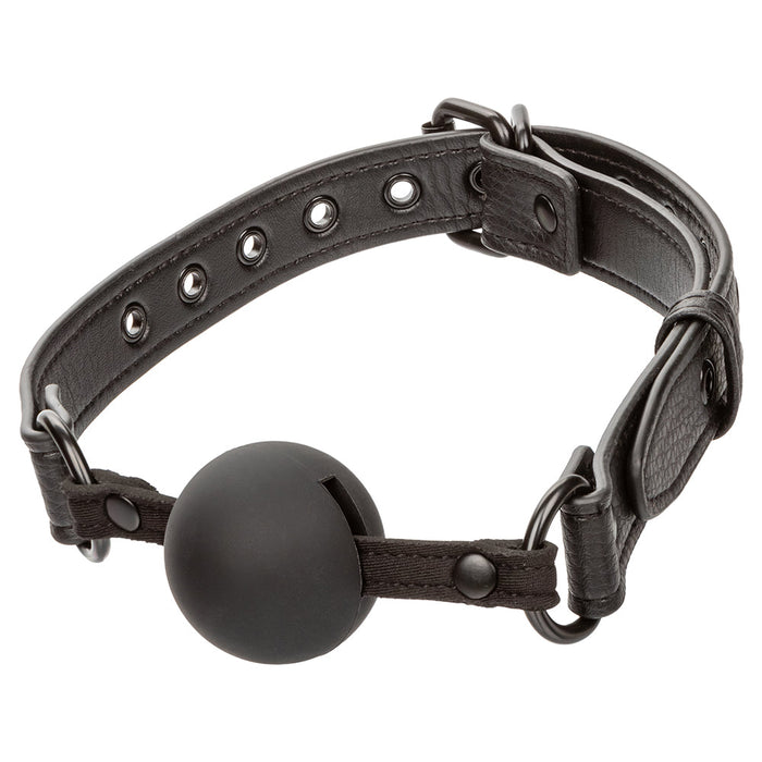 Nocturnal Collection Ball Gag