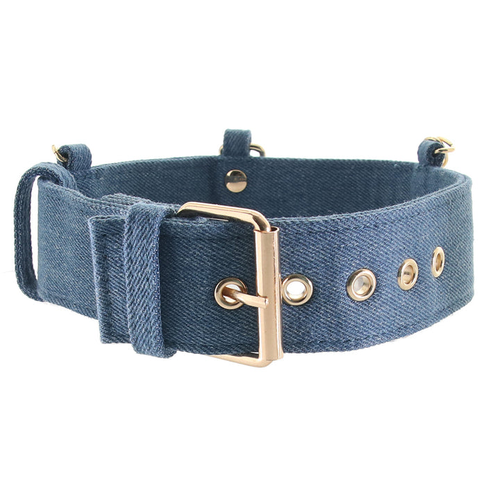 Ride 'Em Denim Collar With Leash