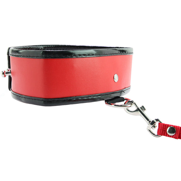 Red Leash and Collar