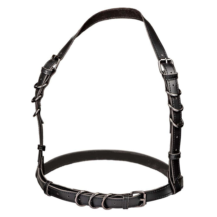 Euphoria Halter Buckle Harness