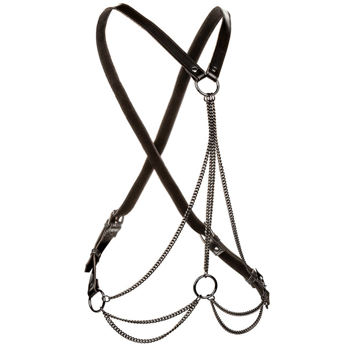 Euphoria Multi Chain Harness XL